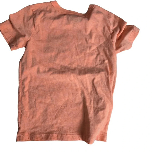 Oshkosh Llama T-Shirt - Picture 2 of 3